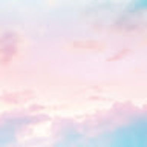 Meet your Posher, Ayla